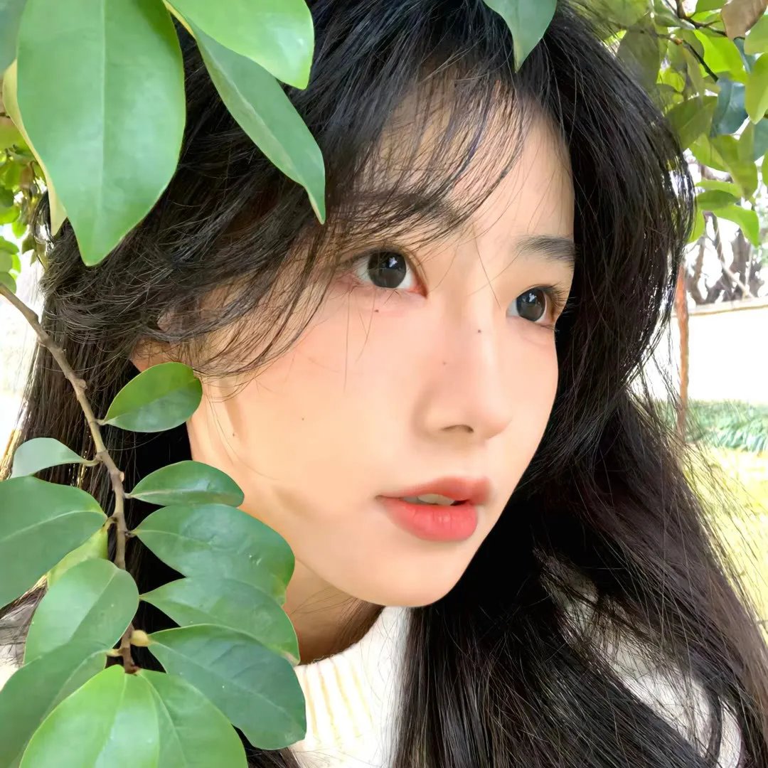 菩提树主视觉
